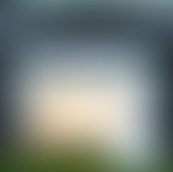 Hanukkah oh hanukkah!