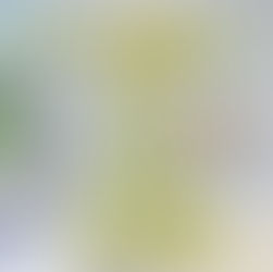 Hanukkah oh Hanukkah come light the flower menorah!