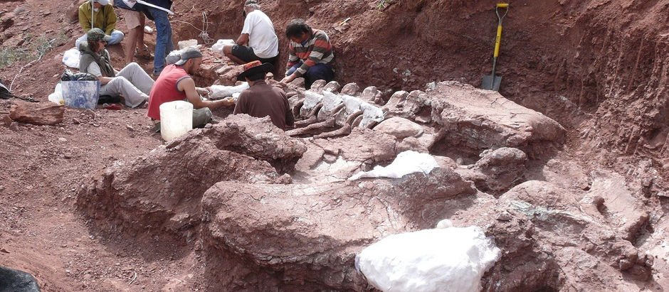 La Universidad Nacional de Córdoba ofrece un curso virtual GRATUITO de Paleontología