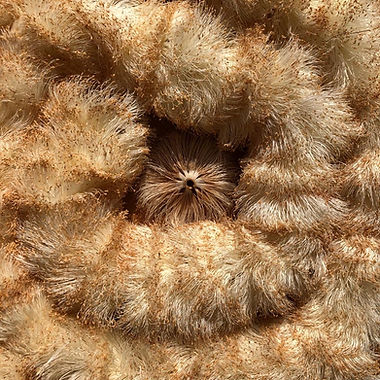 WhatsApp Image 2022-02-28 at 10.46.31 AM (5).jpeg