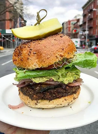 Screen Shot 2023-04-13 at 11.24.12 AM.png