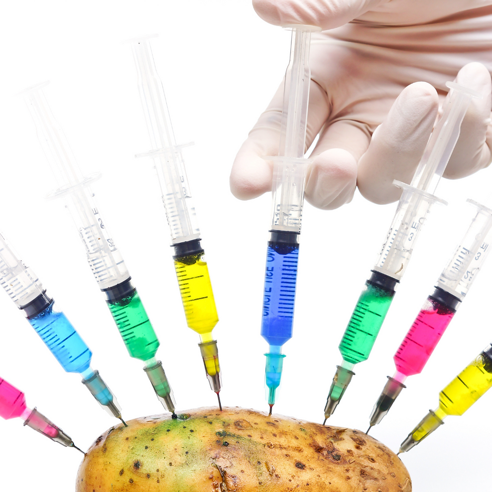 Non GMO Foods