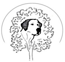 Group Classes | TopDog Mutt-e-Ssori