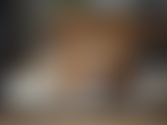 Why Crate Training is Beneficial for Dogs