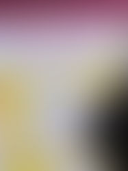 ASÍ ARRANCÓ FESTIVALITO