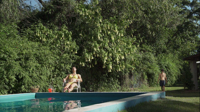 DÍAS DE VERANO de Fernando Zingerling