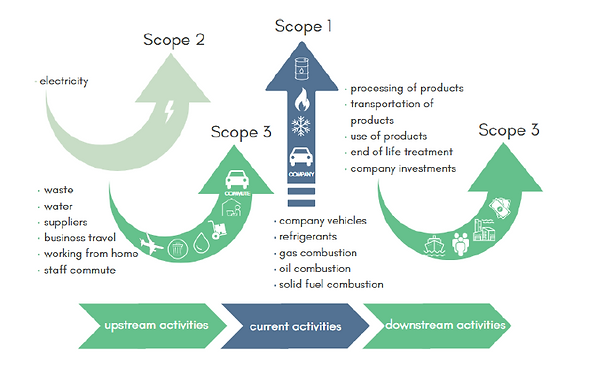 Carbon footprint report