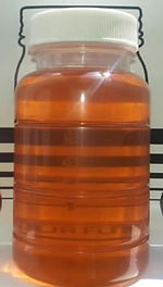 image-asset (1).jpeg