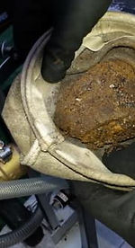 image-asset (2).jpeg