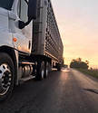 Truck sunrise_cj2019.jpg