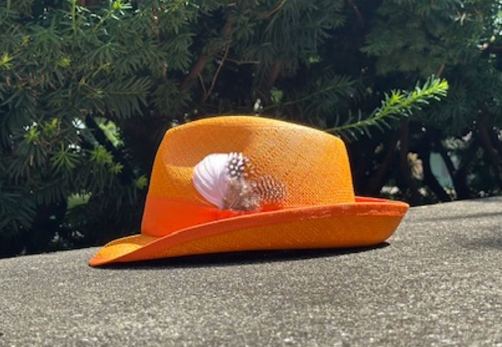 The Volunteer Fedora