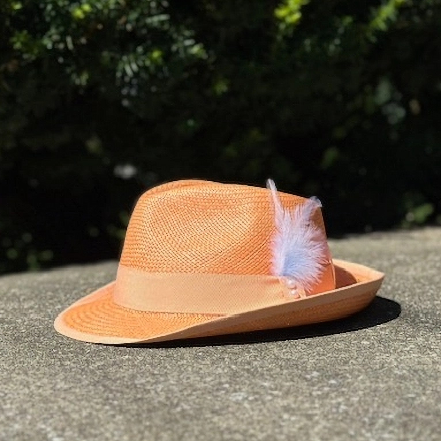 Lady Vol