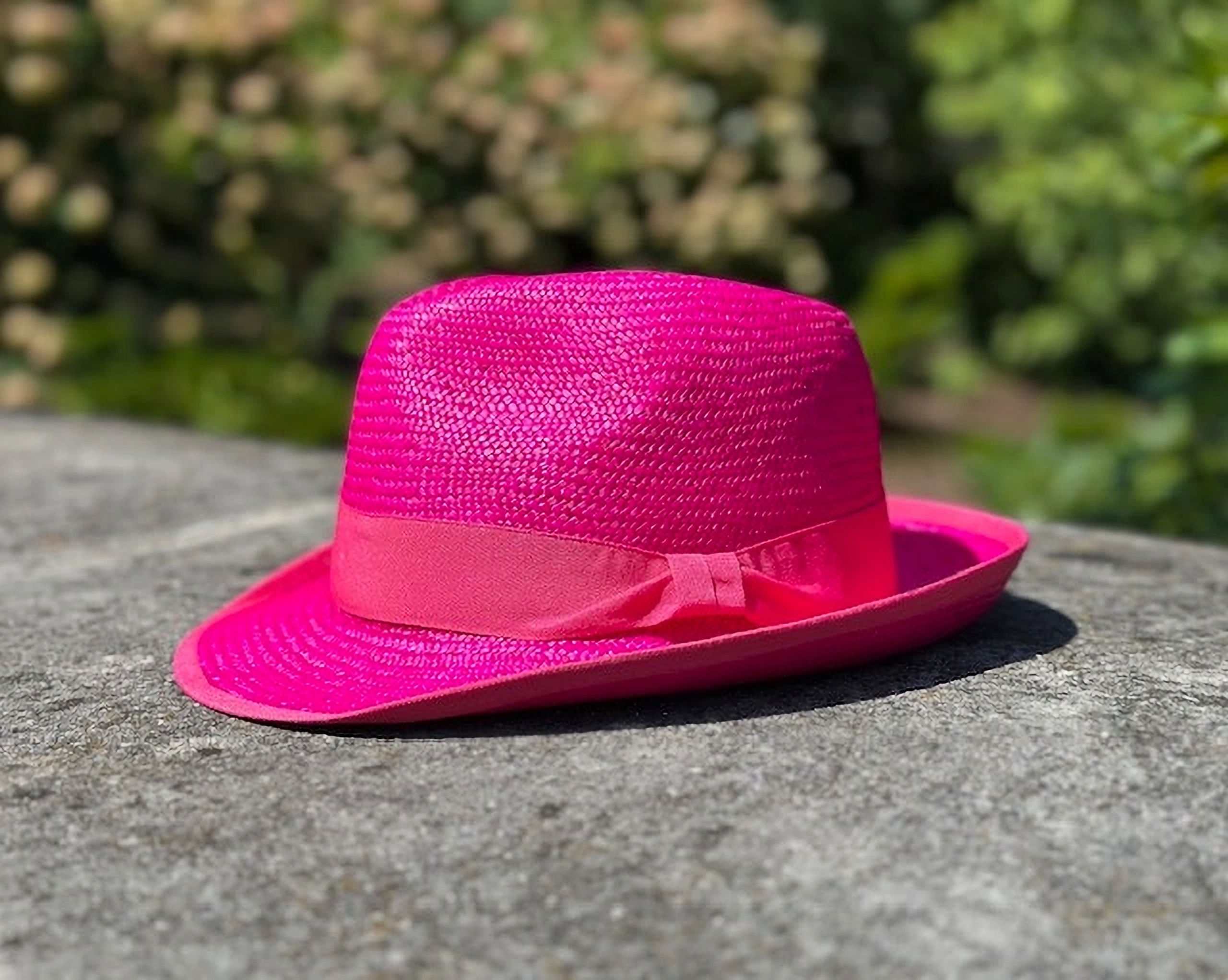 The Rosy Reins Fedora