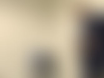 The Grey Wolf Anthony Varrecchia!