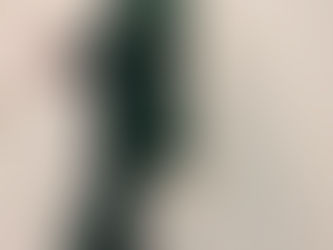 GREEN FREAKING VELVET! CAM!