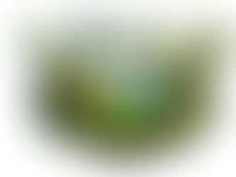 World Engine Preview