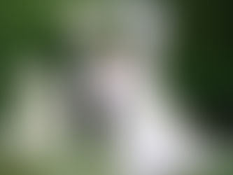 戶外婚禮專用!最有氛圍感英文歌單大全