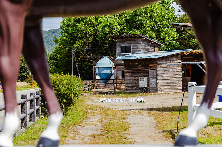 日本馬場求婚佈置,馬場求婚企劃,富士山求婚,日本馬場騎馬求婚,日本求婚企劃,日本騎馬求婚,日本旅遊求婚,海外旅遊求婚,海外求婚企劃