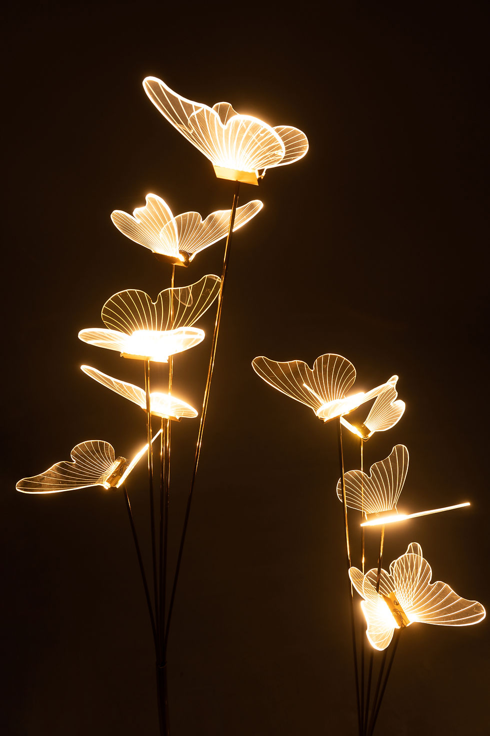 Thumbnail: Butterfly Light
