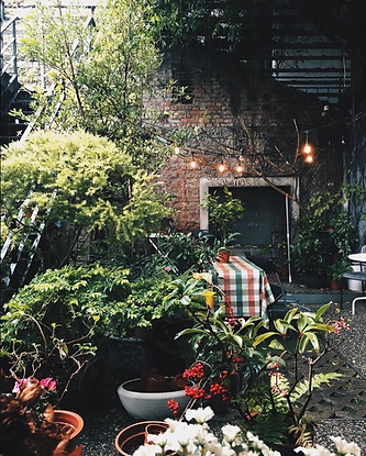 台中isabella's café戶外求婚地點