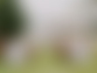 不可不知 如何打造夢幻戶外草皮求婚?台中戶外場地推薦