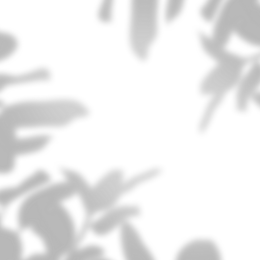 —Pngtree—black creative hand painted plant_5392312_edited_edited.png