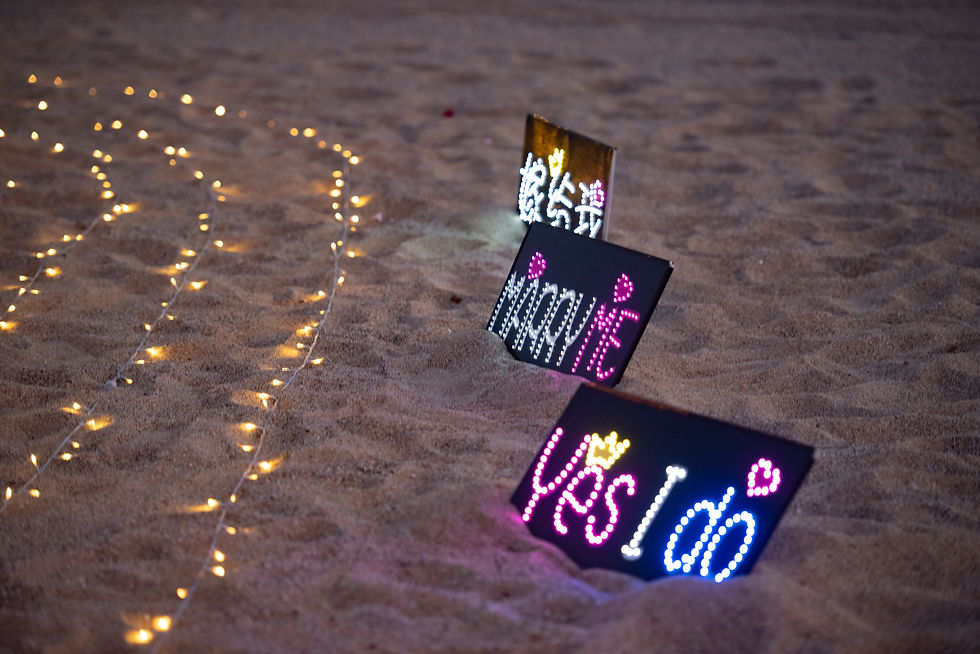 Thumbnail: LED Proposal Hand Sign