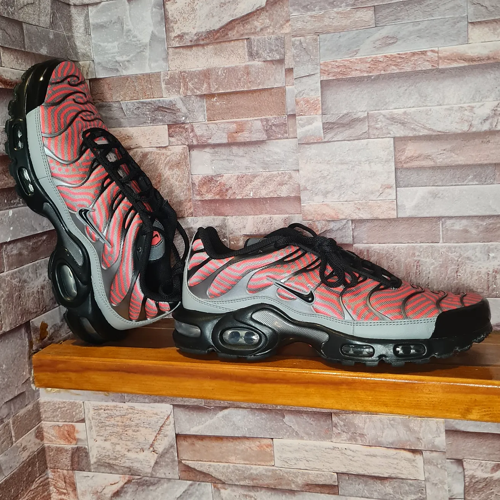 nike air max plus euro tour