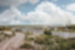jameshruizphotography-friedmanranch-2.jpg