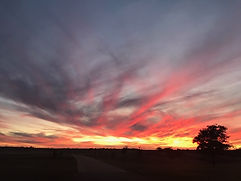 IMG_1624.jpeg sunset.jpeg