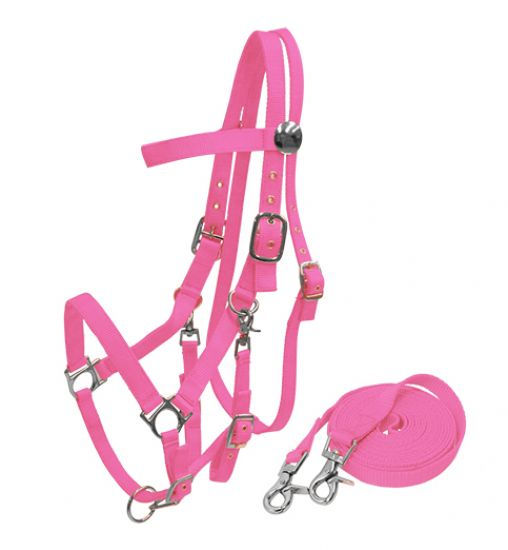 Thumbnail: Nylon Combination Halter Bridle w/Reins