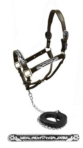 Showman Dark Leather Show Halter w/Black Inlay & Daisy Flower Design