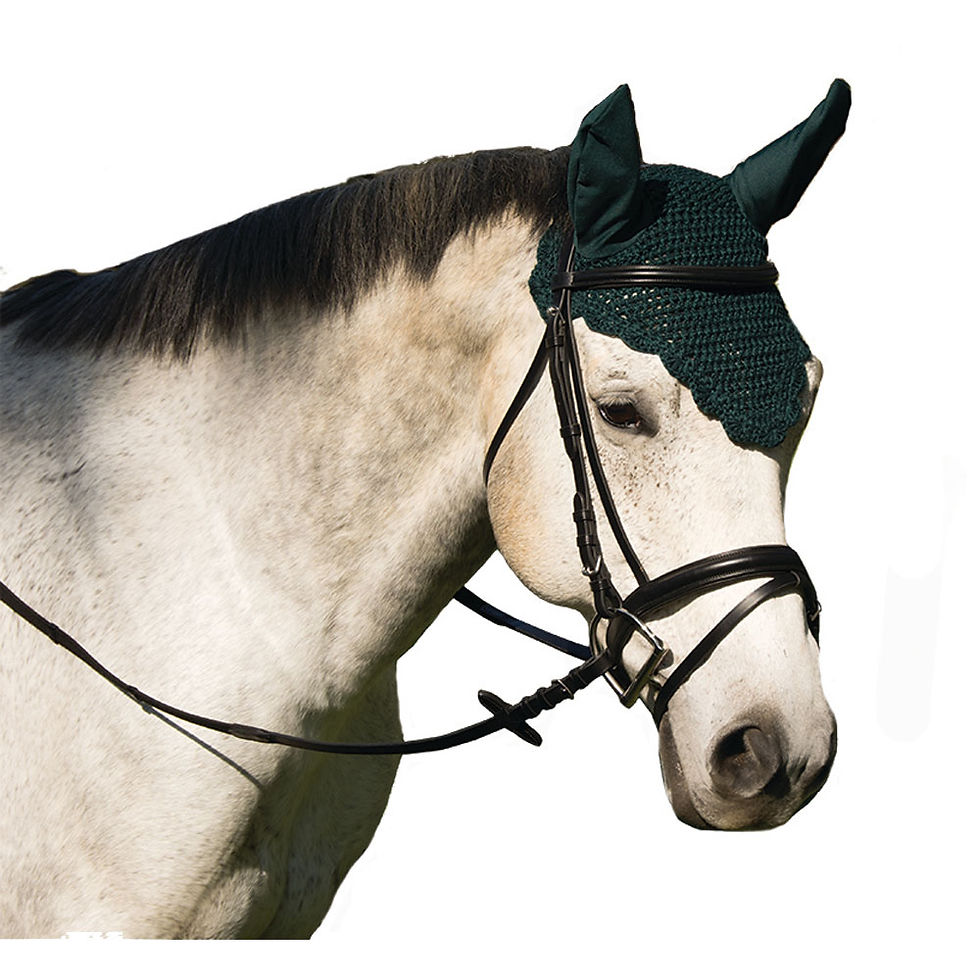 Thumbnail: Crochet Fly Veil with Ears Horse Size Scalloped Solid