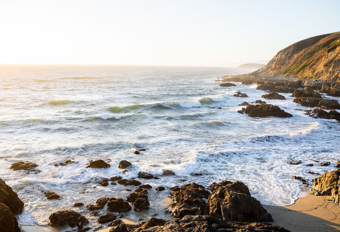 Bodega Head Sunset 2.0.jpeg