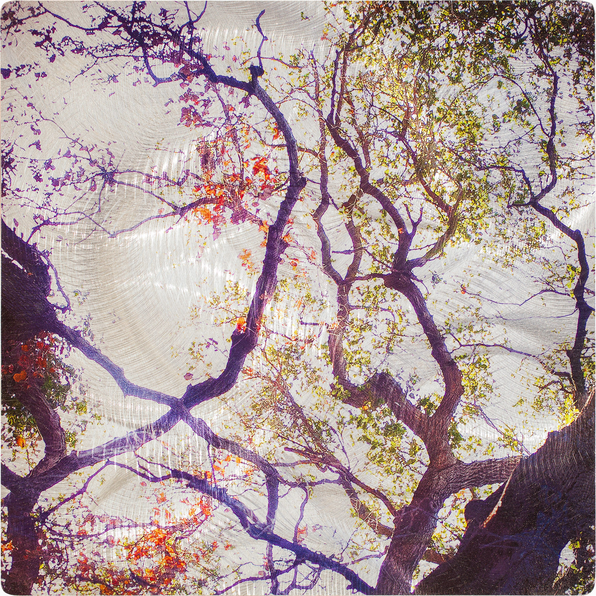 Little Lively #6297-8