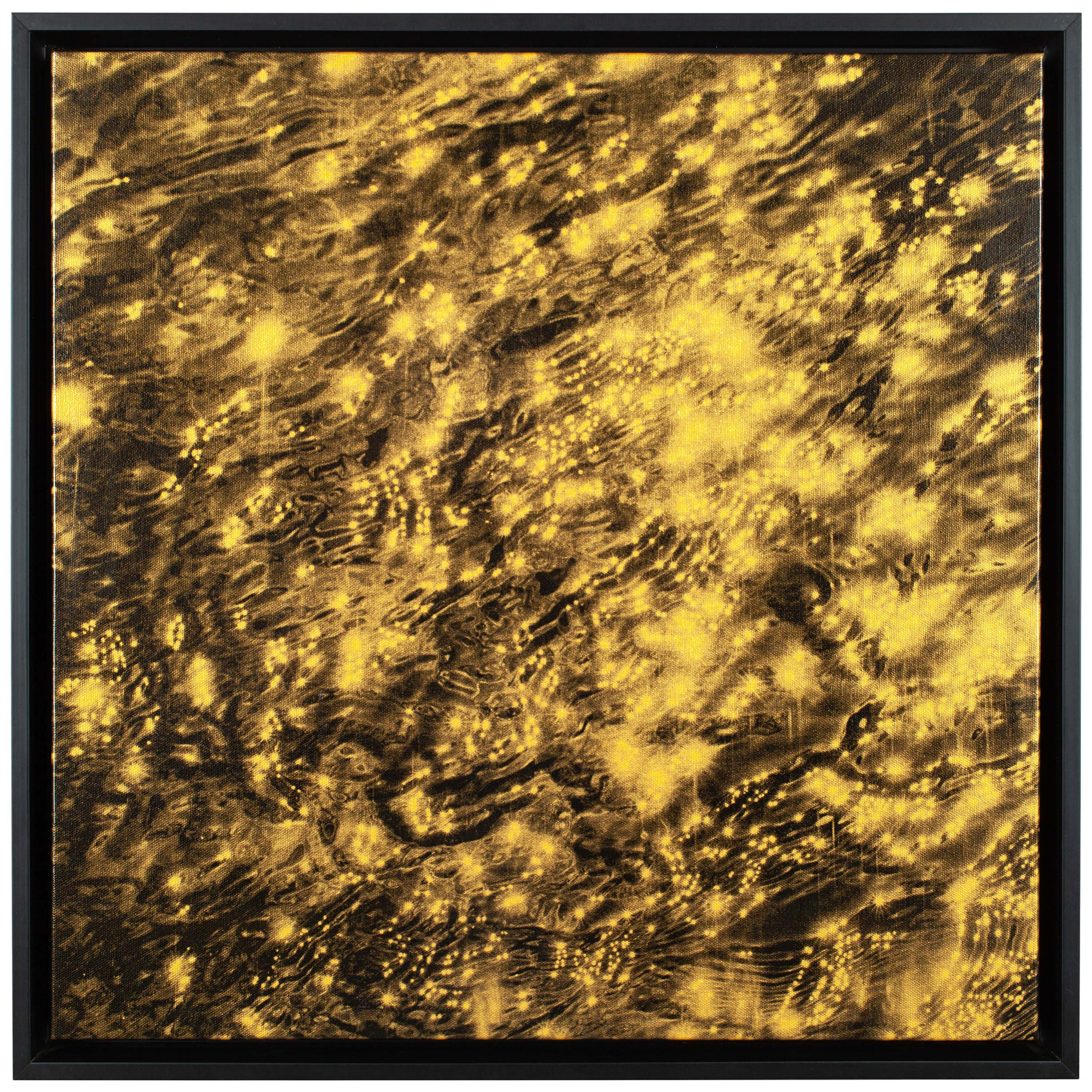 Orotone #09081415 #1