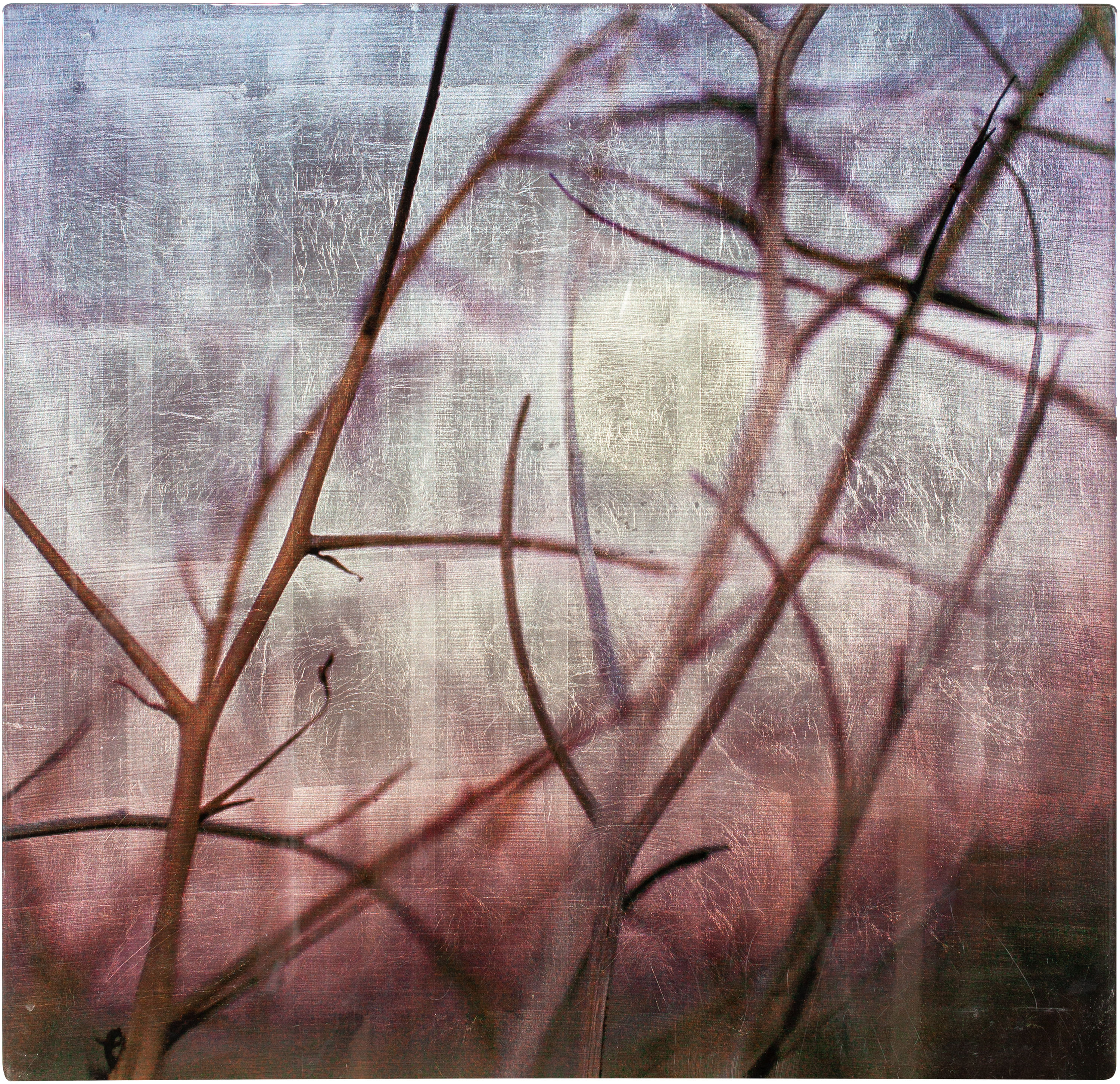 Enchanted Grasses #9407