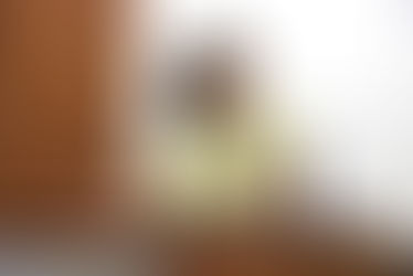 Vereadora questiona Prefeitura sobre presença de intérprete de Libras em órgãos e entidades de administração pública