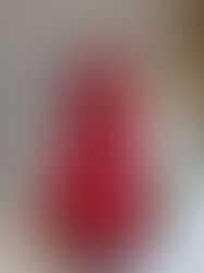 Especialista do Sebrae-SP dá dicas de como usar 'febre' do morango do amor para aumentar faturamento