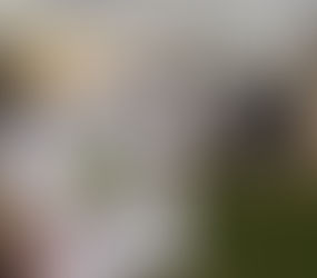 Prefeitura realiza orientações para produtores sobre sanidade e bem-estar animal