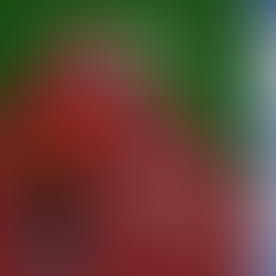 Vendas de mesas e convites da I Festa do Queijo, Bacalhau e Vinho em prolda Santa Casa de Jales já começaram