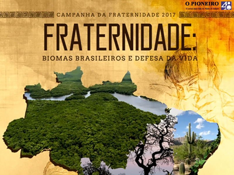 Jales Notícias