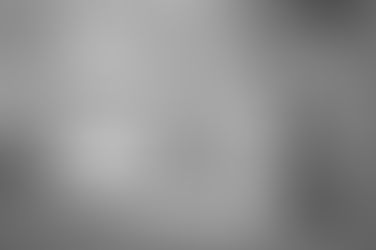 Mulher é condenada por maus tratos depois de abandonar dois cães em rodovia