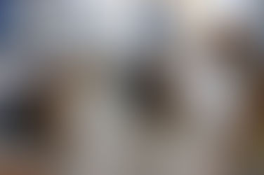 Câmara aprova onze Requerimentos e dois Projetos de Lei na última Sessão antes das eleições.