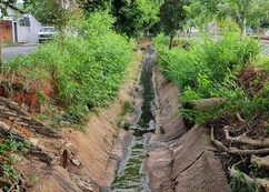 Prefeitura diz que estudo preliminar para revitalização da Avenida Maria Jalles está em andamento