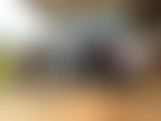 “15º Leilão de Gado”: resultado positivo auxiliará a custear ampliação deleitos de UTI