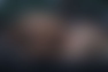 TJSP condena homem por maus-tratos ao próprio cachorro.Réu proibido da guarda de animais por dois anos