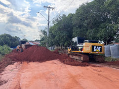 Vereadora pede informações envolvendo retirada de árvores na Avenida Magnólia por conta de obras