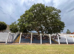 Árvore mantida na arquibancada do Estádio Municipal "Evandro de Paula", em Santa Fé do Sul, garante sombra aos torcedores