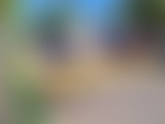 Quebra-molas devem ser retirados da Avenida Paulo Marcondes até setembro